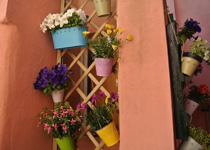 Casa Vacanze La Vite