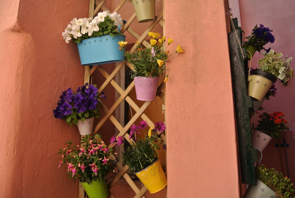 Casa Vacanze La Vite